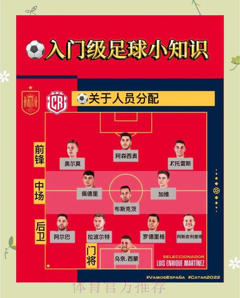 世界杯安保全景解析与最新官方入口指南