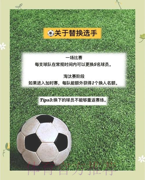 世界杯安保全景解析与最新官方入口指南